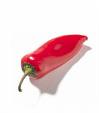 LA STORIA DEL PEPERONCINO...